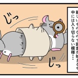 『念願の蚊取り豚あげてみた！！』の画像