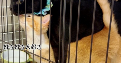 グリくんも認める逸材