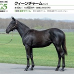 【一口馬主考(個人馬含む)】＆【国内外旅行記】