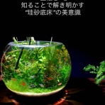 SONOアクアプランツファーム水草･海藻情報局