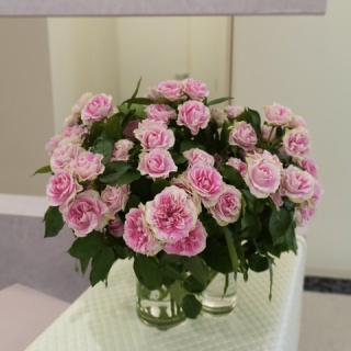 ～Dr.Fumiの美容Blog～