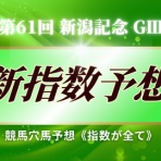 競馬穴馬予想《指数が全て》