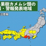 大量発生してる今年のカメムシ、”アレ”のせいでとんでもない事になりそう・・・