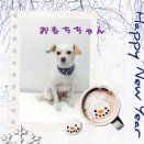 ＪＡＭにご来店♪