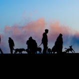 『【一般公開記事】犬との取り組みは自分次第、そう考えられる人でありたい』の画像