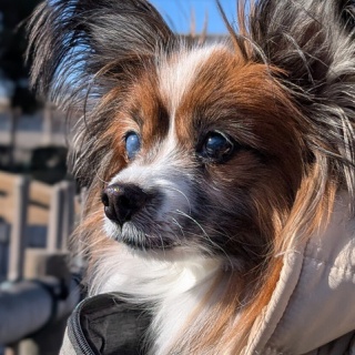 専業主婦まさきの一日