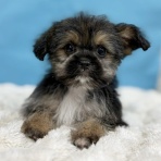 わん１００（ワンハンドレッド）四街道店