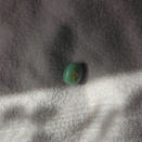 今日の愛犬との関係占い日記　3月22日