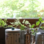 【MOO＆PLANT】これで化学物質からさよならできるといいな♪