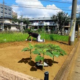 『久々の「お花の会」地域活動』の画像