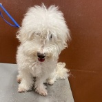 栃木県宇都宮市 ペットショップワンラブ ベルモール宇都宮店のスタッフブログ