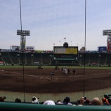 『「若手」がだぶついている感あり、の阪神』の画像