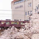 【宝塚市 桜】宝塚市内のお花見スポットを一気にご紹介♪