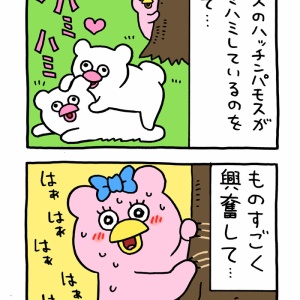 スキウサギ「太陽フレア2021」 : キューライス記 Powered by