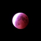 『皆既月食2022を総括する回＆写真展のご案内　2022/11/29』の画像
