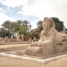 ｍｈ徒然草： カイロ旅行のご報告その5