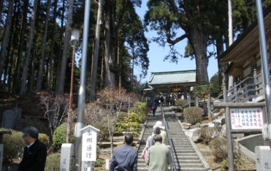 『2013/4/5 身延山久遠寺』の画像