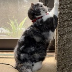 いつかのさんた 今日のみゅう