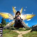 馬鳥速報