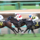 コントラポストとシルトホルン