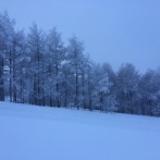 【閲覧注意】判断ミスの命令で199名が死亡、これガチで悲惨すぎるだろ。→！