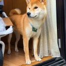 風太の日記！　3月21日