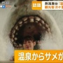 国産サメ映画『温泉シャーク』クラファンで「1000円ごとに出すサメ増やす」その結果……