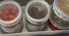 楽天お買い物マラソン｜ずっと気になってた「ごはんのおともトング」をついにポチ！