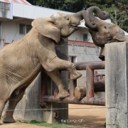 仲良し姉妹の朝のスキンシップ