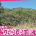 ウメボシ速報
