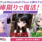 ドール速報 ドールフェチの人形図鑑