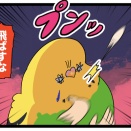 カチョちゃんのラブリーなプレゼント🎁いらない
