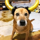 ハッピーハロウィン🎃