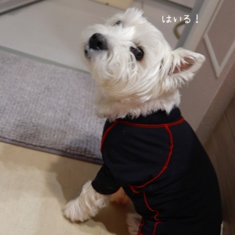 お風呂に自らはいる時