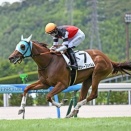 YGG スウィープシャルム 喉の疾患でリタイヤ