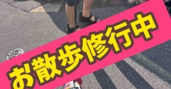 ただいま修行中。