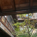 古い商家の中は美濃焼の宝箱！🍵「美濃陶芸の店 井筒」へ｜多治見・本町オリベストリート散策（岐阜県多治見市）