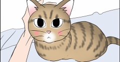 あんこ＆麦2483 猫の見守り