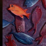 hawaiianmonksealのblog