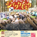 『やまだの露地物シイタケ狩り体験2018』の画像