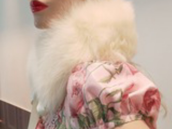 ☆Sale80%OFF★FOXファーティペット★オフ白、残り3点☆