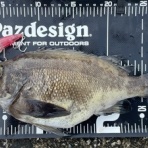 フラッター日誌