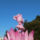 ミニーのファンダーランドに行ってた～