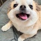 サマーカット♪