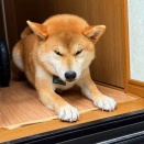 風太の日記！　6月14日