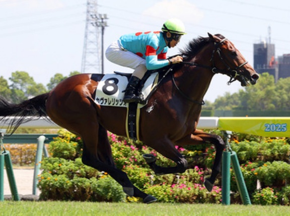 【競馬予想】[1]第77回朝日杯フューチュリティステークス(GⅠ) /2025