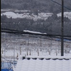 bsltd深夜の絵日記帳