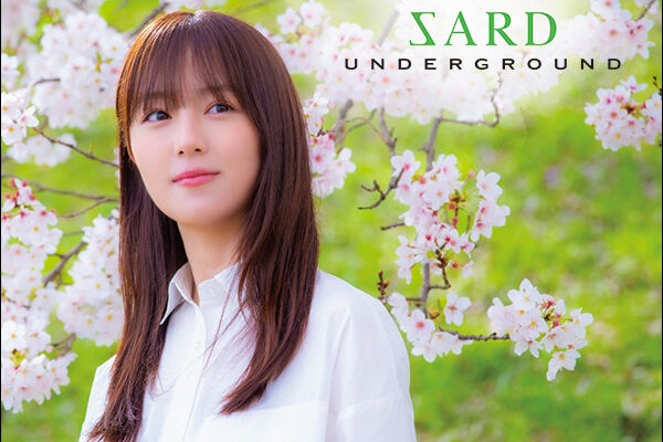 お得過ぎ‼️大流行 pops アルバム 25枚 まとめて 大放出！！ お得