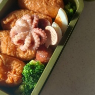 ニャン✕スクワットタイム。と、お花のちょうちょ作りました。