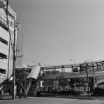 KAMONOMANIA　カモノマニア